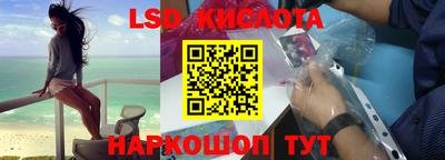 дживик Моздок
