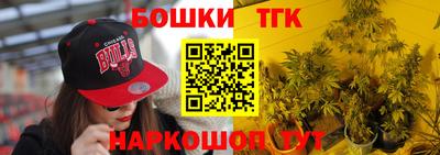 дживик Моздок